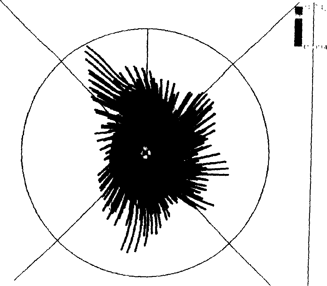 Central vortex column flash smelting process