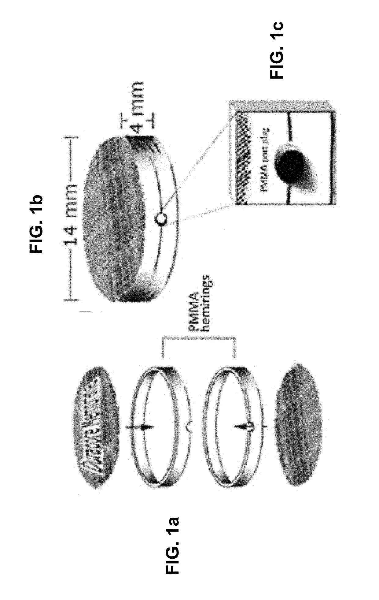 Methods and compositions for treating cancers using antisense