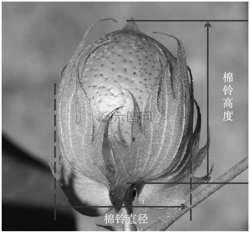 Method for predicting spraying time of machine-harvested cotton defoliant