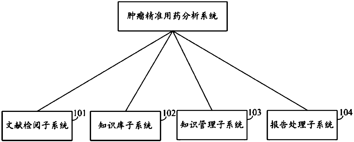 Tumor accurate medicament taking interpretation system and method thereof