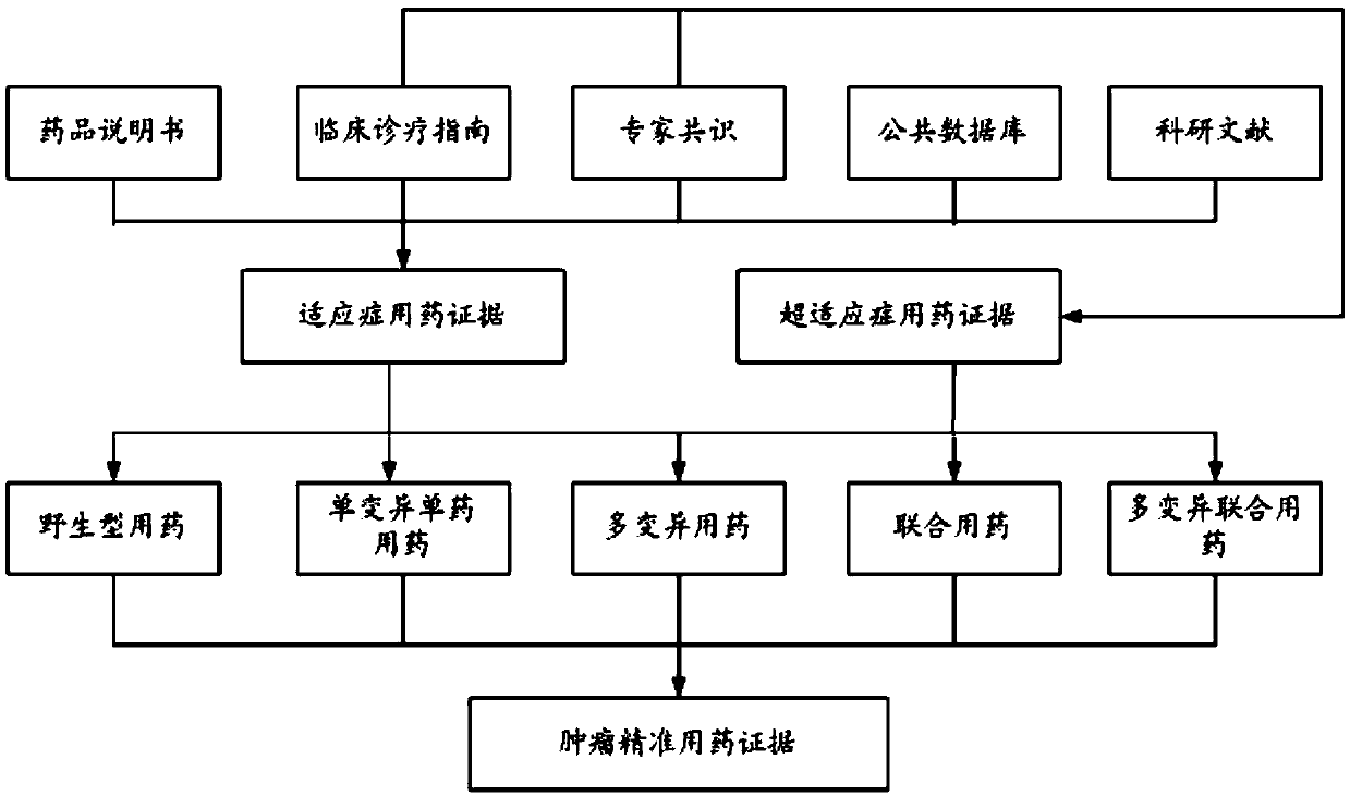 Tumor accurate medicament taking interpretation system and method thereof