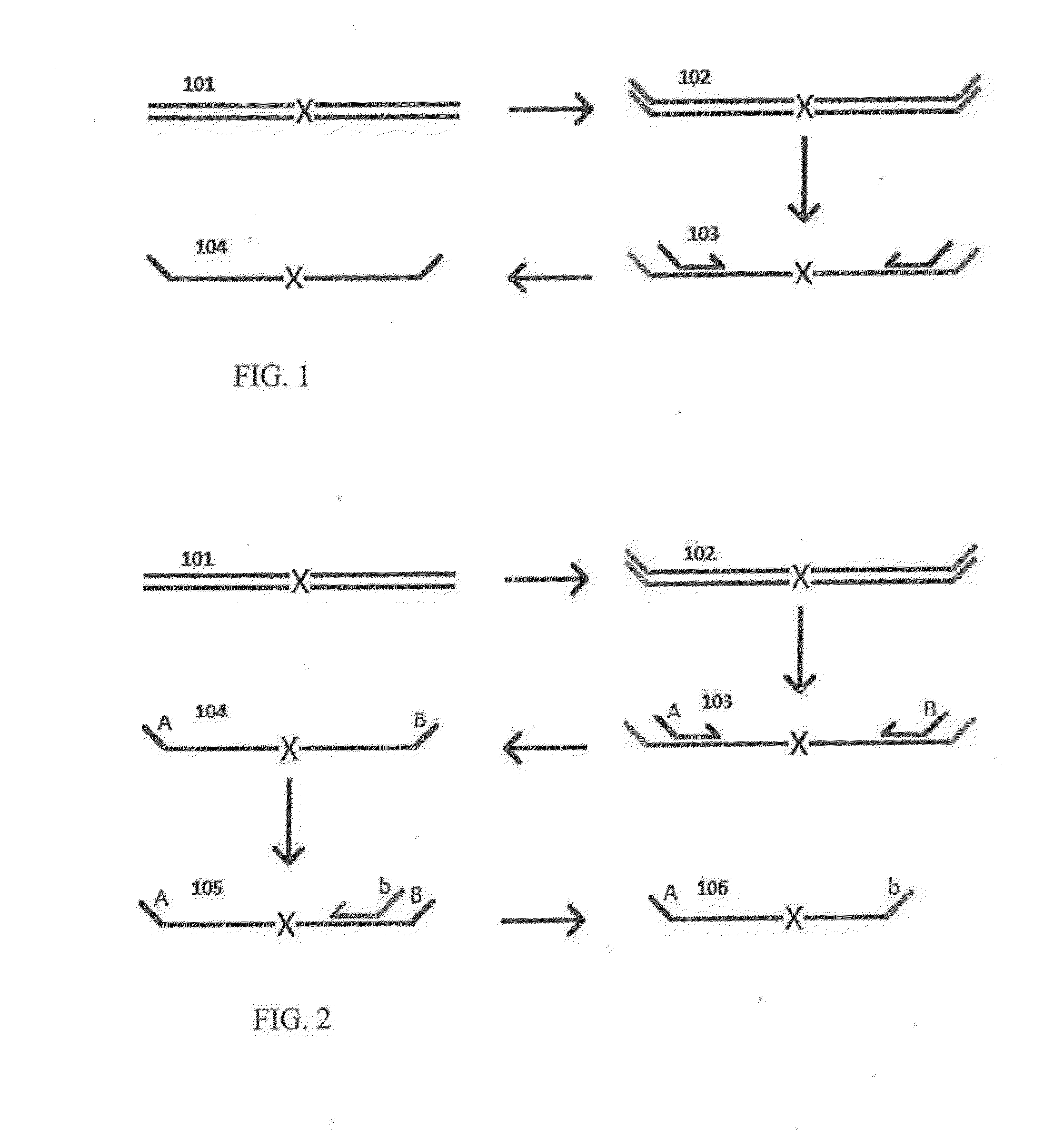 Highly multiplex PCR methods and compositions