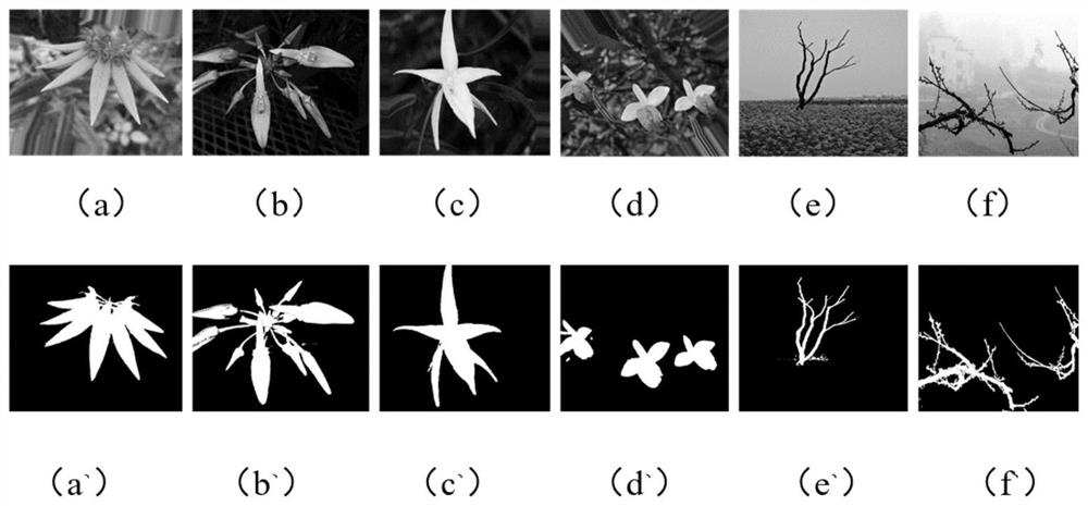 Small sample training method based on target segmentation