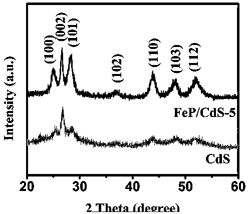 0D/2D iron phosphide/cadmium sulfide composite photocatalyst, and preparation method and application thereof