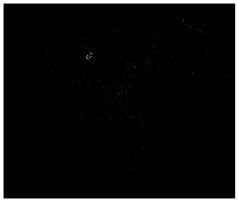 Immunohistochemical staining kit containing pigment tissues and staining method