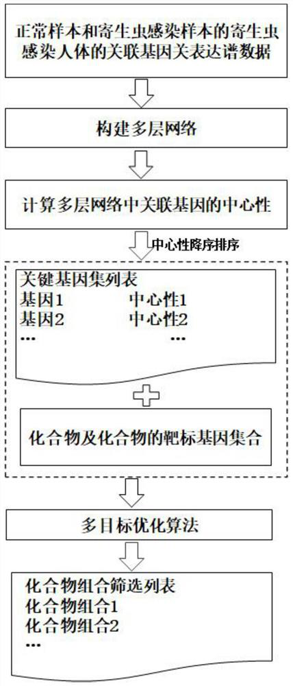 Compound combination screening method based on anti-parasitic infection key genes