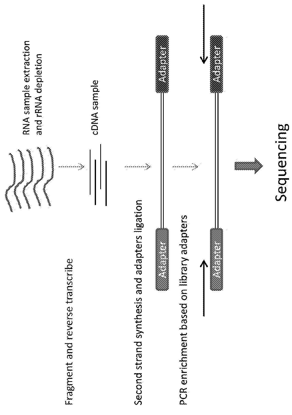 Methods Of Depleting Target Sequences Using CRISPR