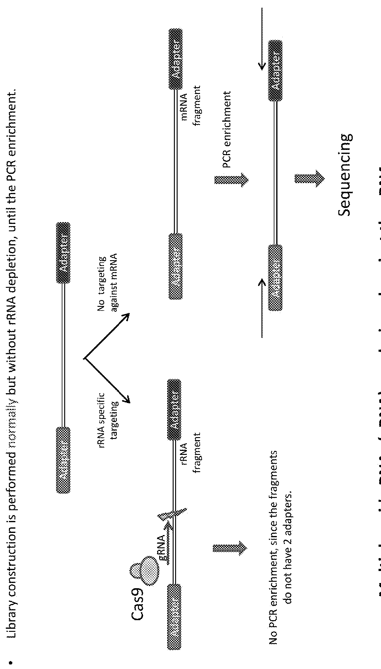 Methods Of Depleting Target Sequences Using CRISPR