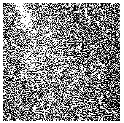 Human embryo lung fibroblast strain and method for using human embryo lung fibroblast strain for producing hand-foot-mouth viral vaccine