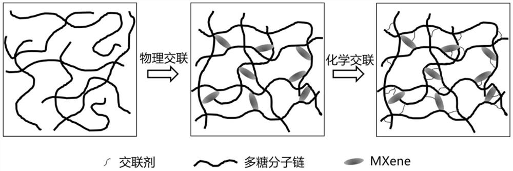 High-strength polysaccharide-MXene composite microsphere and preparation method thereof