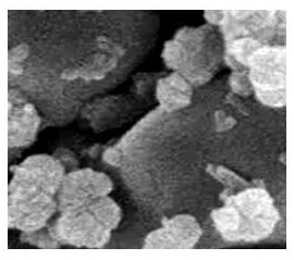 Fenton catalyst for water treatment and preparation method thereof