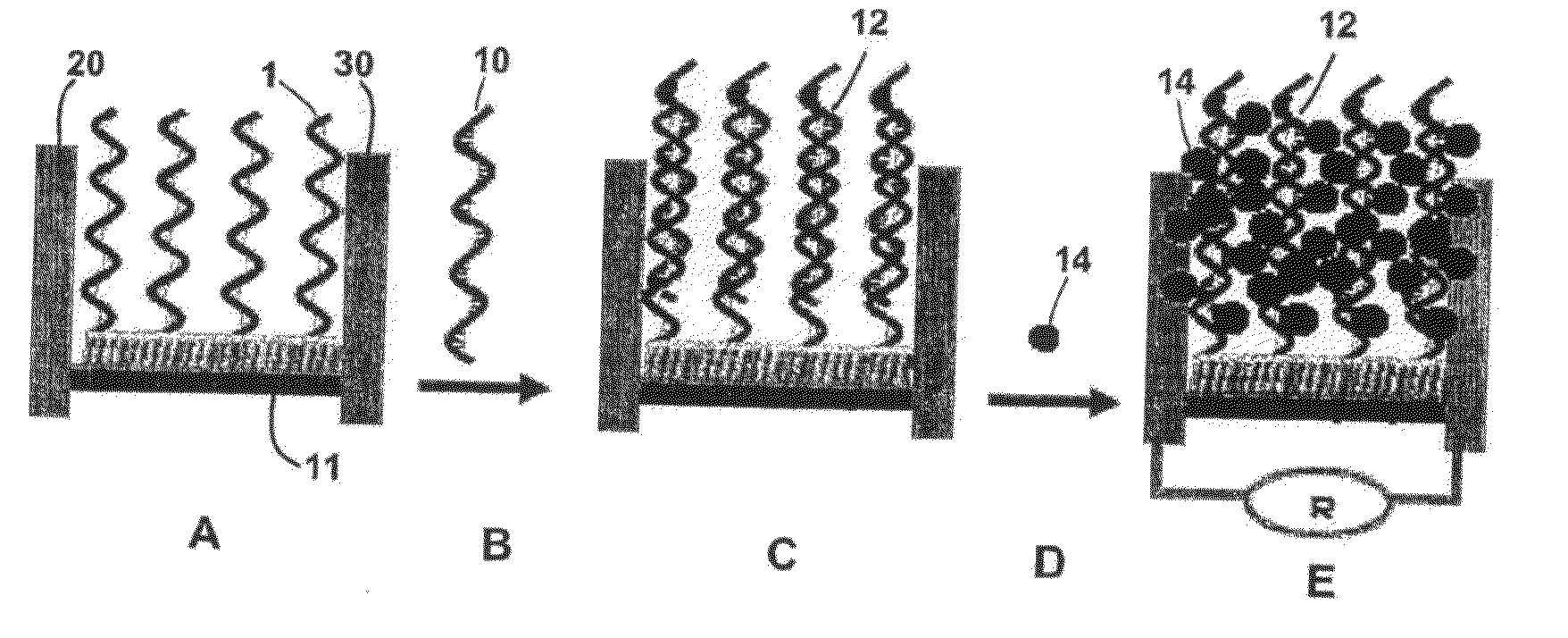 Method of electrically detecting a biological analyte molecule