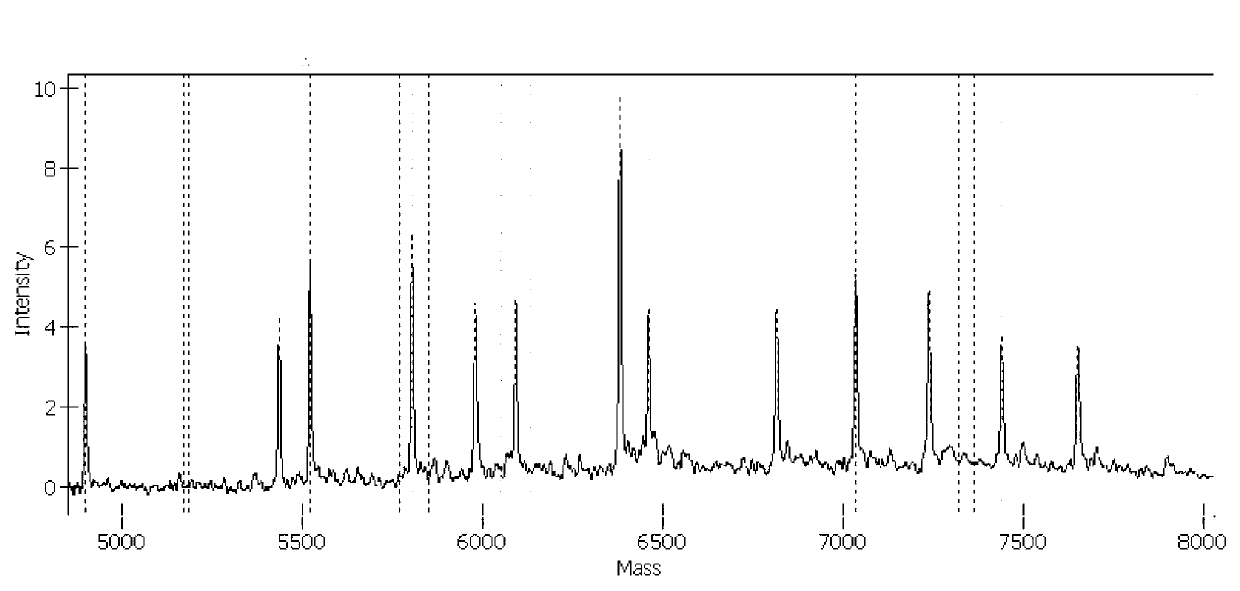 Method for detecting and identifying human polyomavirus with high sensitivity