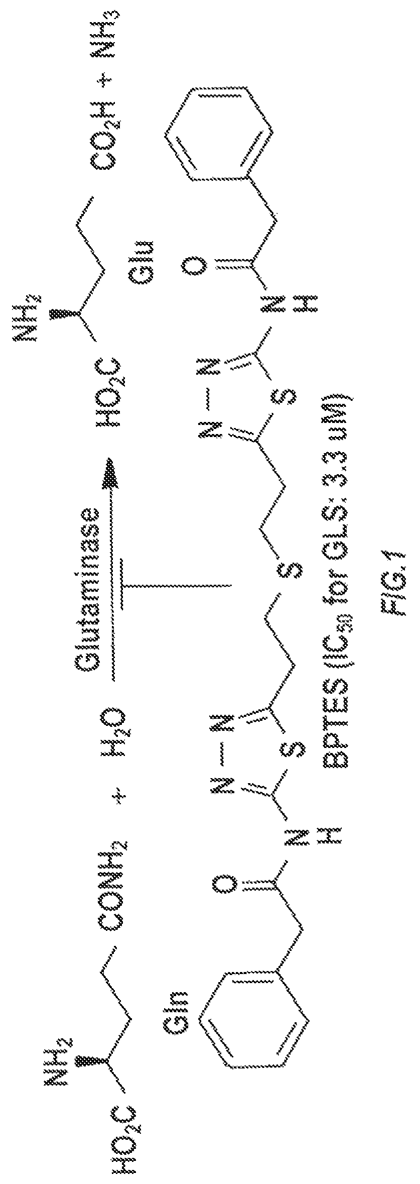 Glutaminase inhibitor discovery and nanoparticle-enhanced delivery for cancer therapy