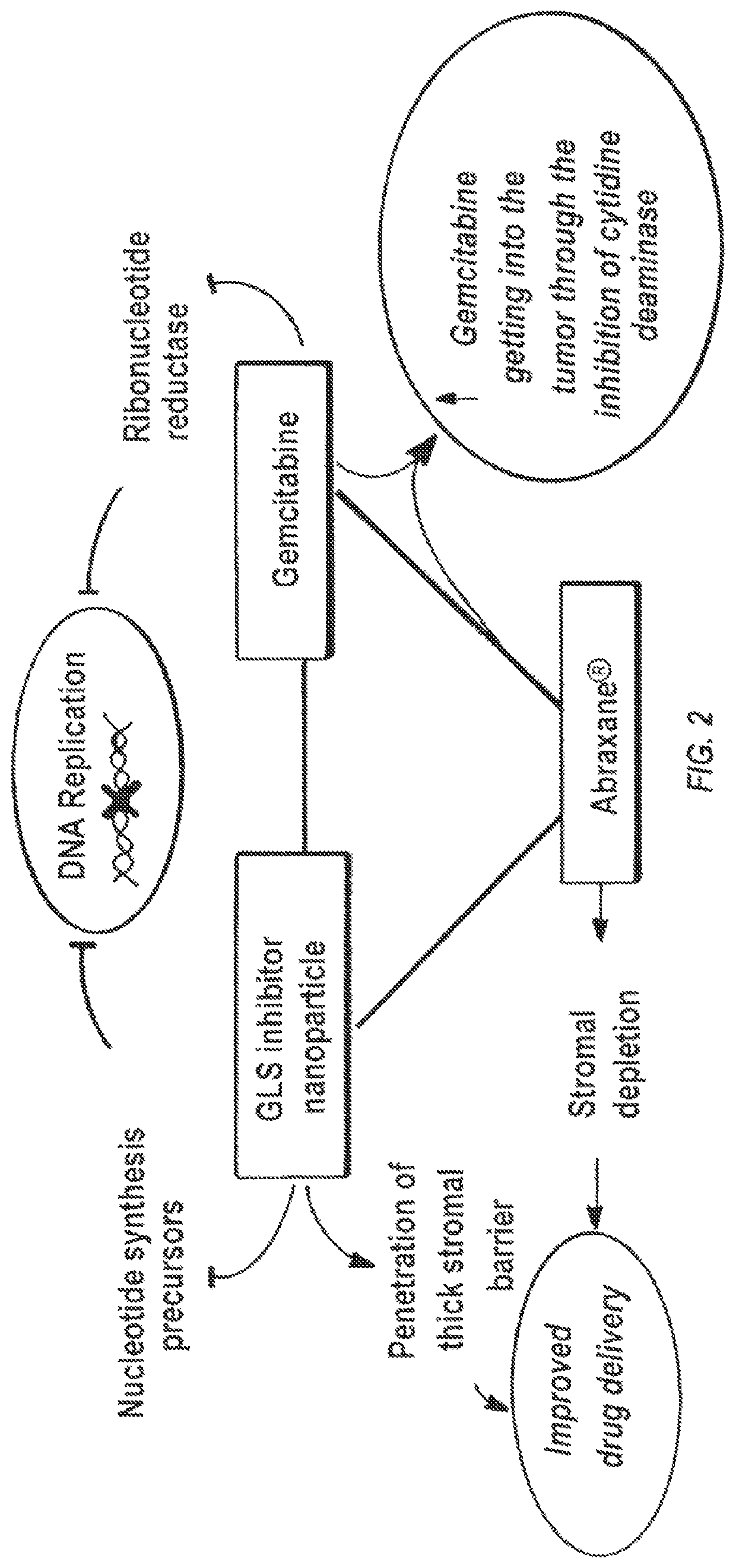 Glutaminase inhibitor discovery and nanoparticle-enhanced delivery for cancer therapy