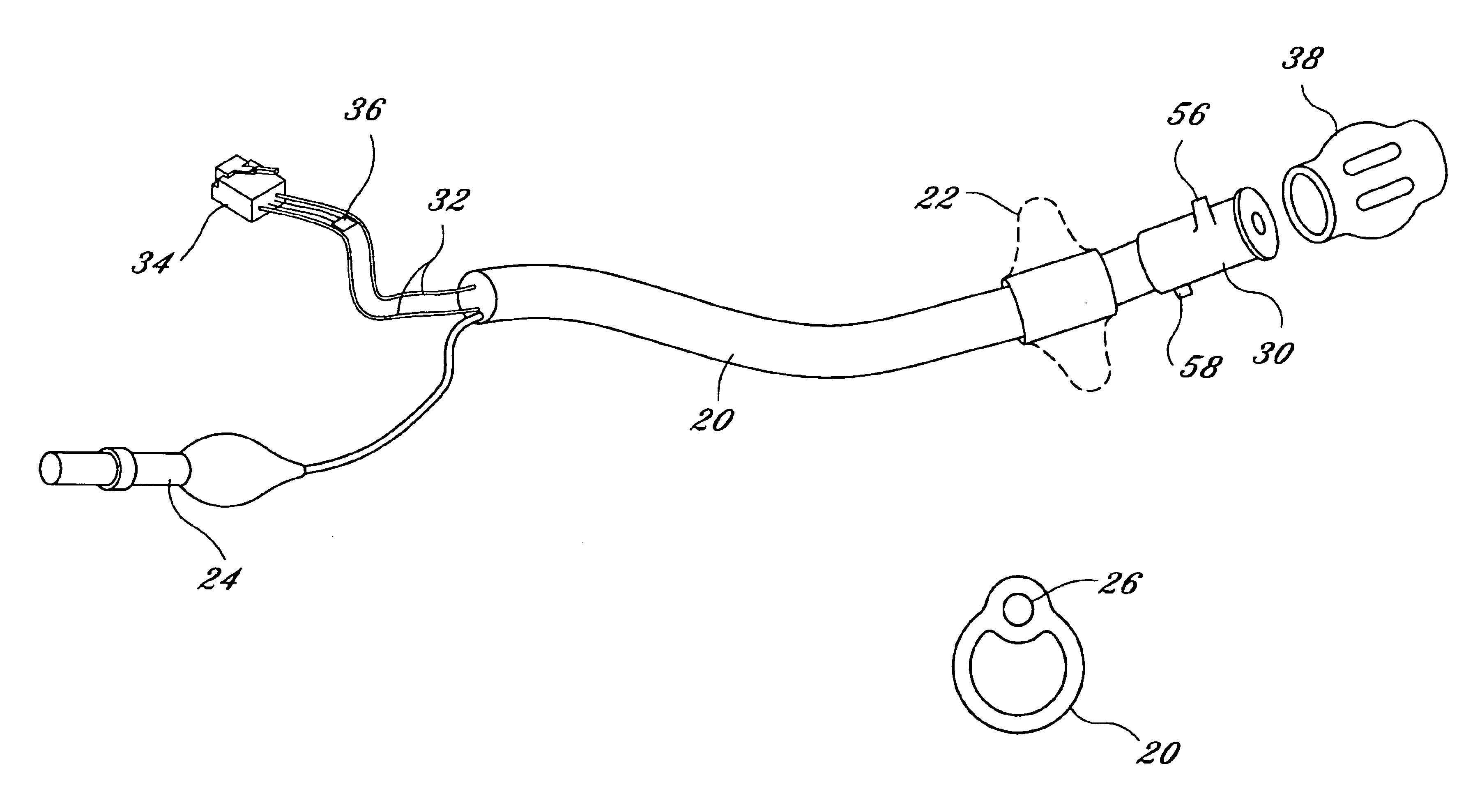 Fecal incontinence management device