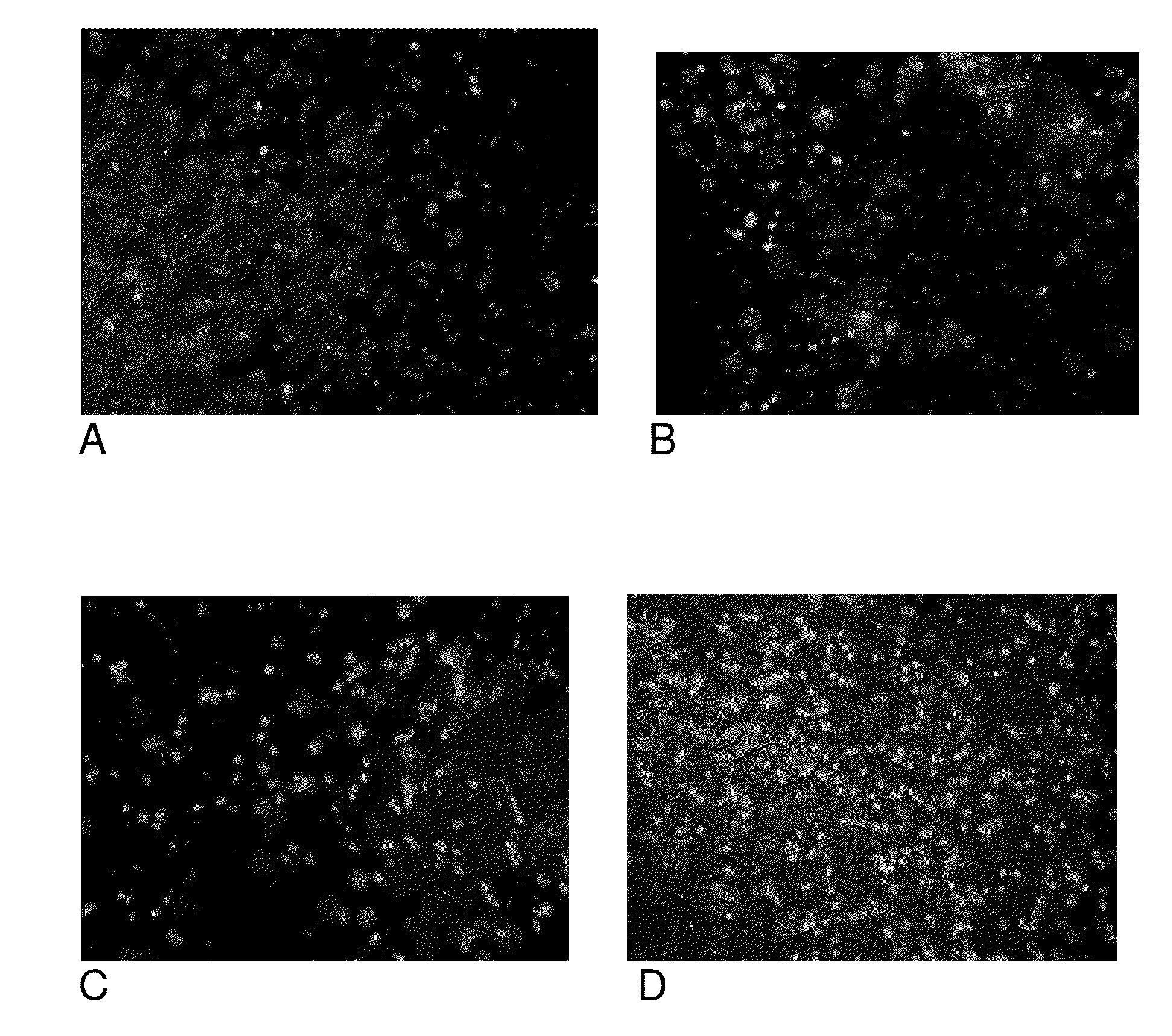 Methods of manufacturing cartilage products