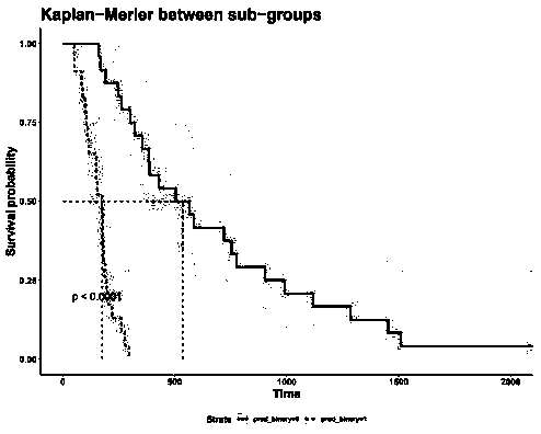 Liver cancer postoperative recurrence risk prediction method combining pathological images and clinical information