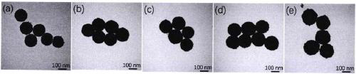 Method for preparing silicon core and golden shell nanoparticles by ultrasonic-assisted hydroxylamine hydrochloride seed-growth method