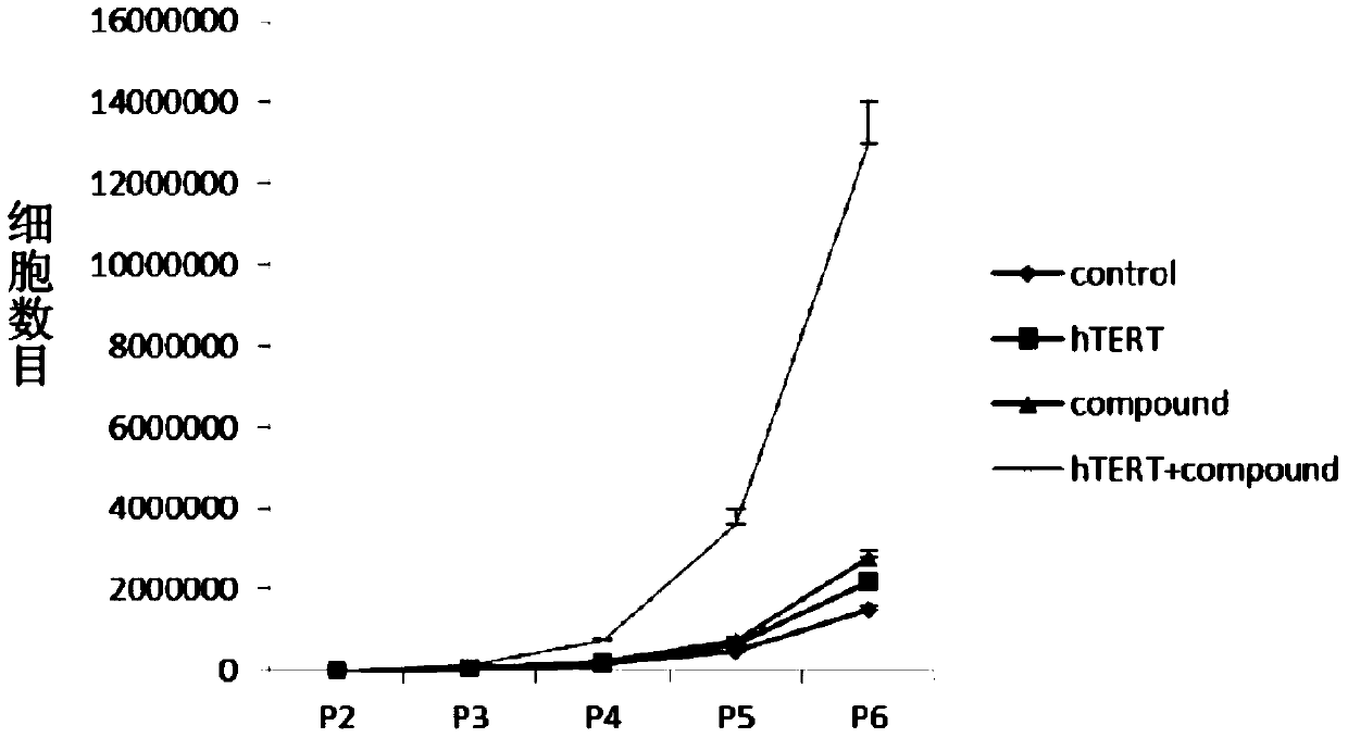 In vitro telomere extension and proliferation culture method of chondrocytes and human tissue engineered regeneration of cartilage