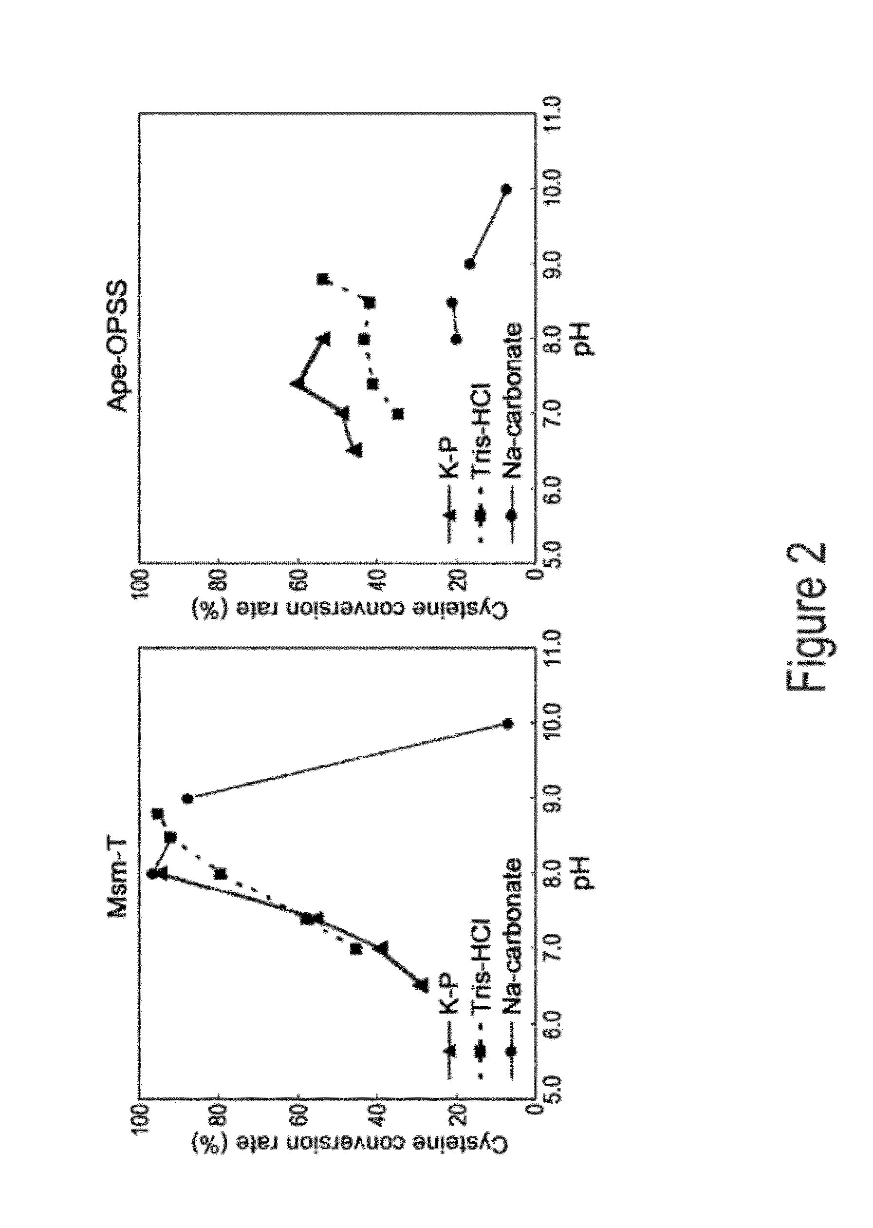 O-phosphoserine sulfhydrylase mutants and method for production of cysteine using the same