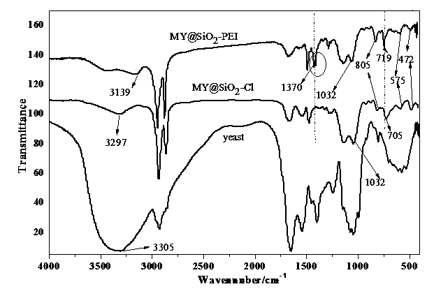 Preparation method and application of magnetic silicon-coated yeast grafted polyethyleneimine biological composite material