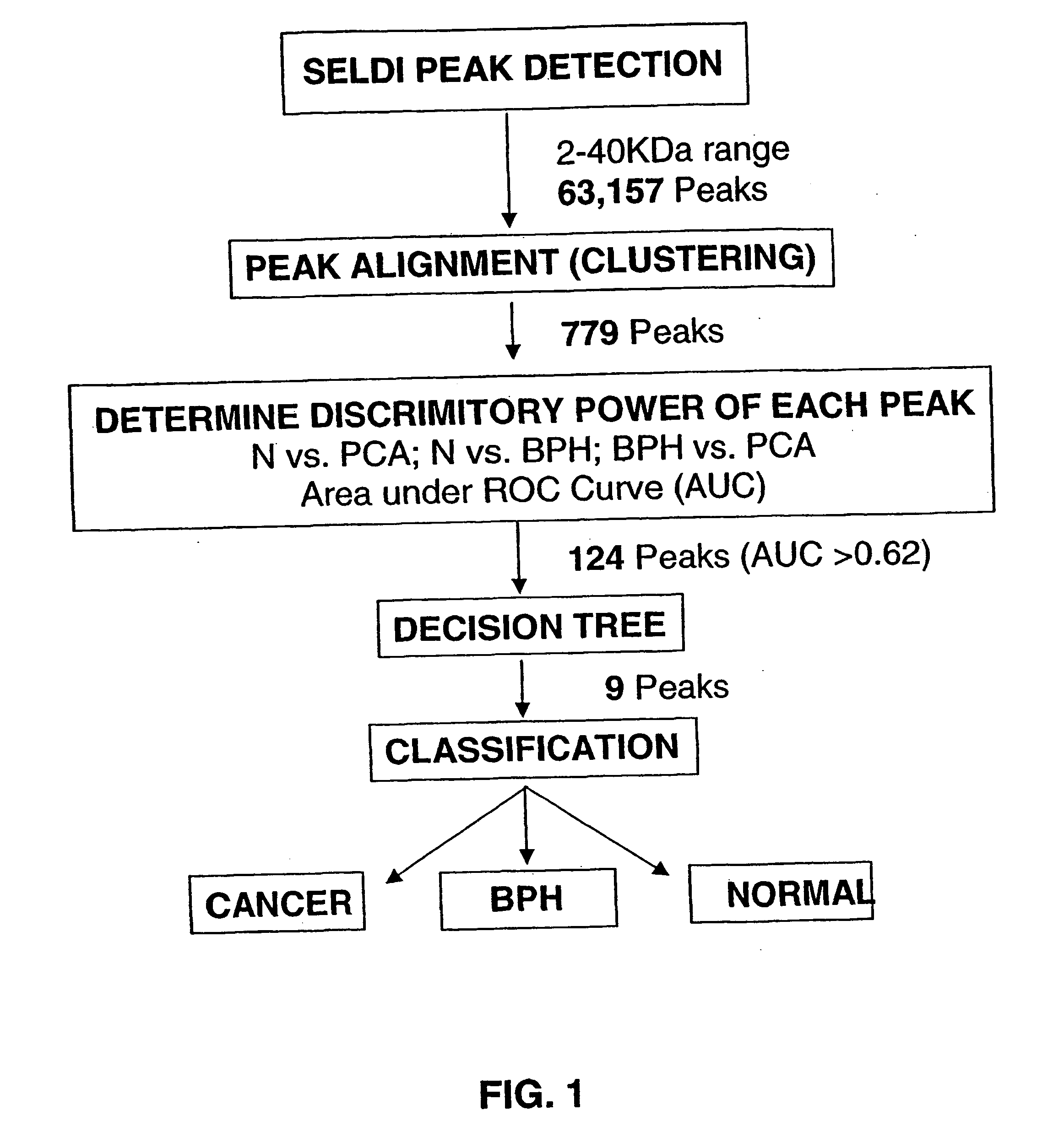 Prostate cancer biomarkers