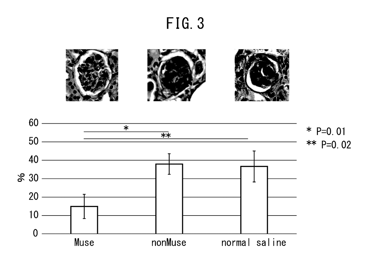 Pluripotent stem cell for treatment of chronic kidney disease