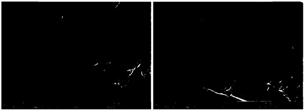 A kind of graphene/uhmwpe composite fiber and its preparation method and application