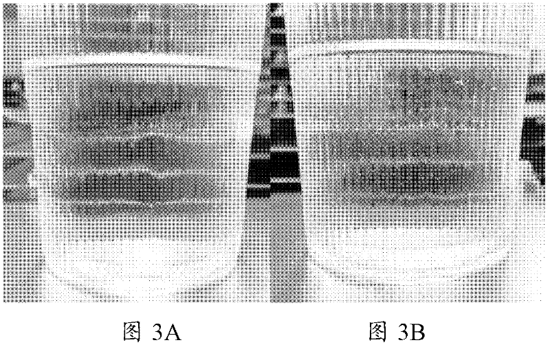 Silica gel preparation method