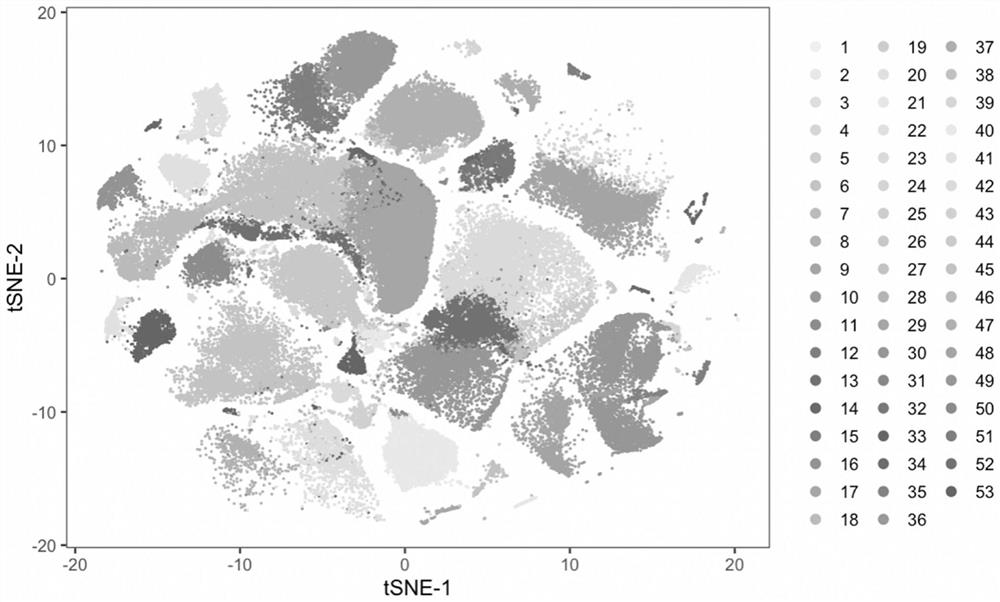 Accurate detection kit for typing of tumor immune cell subset