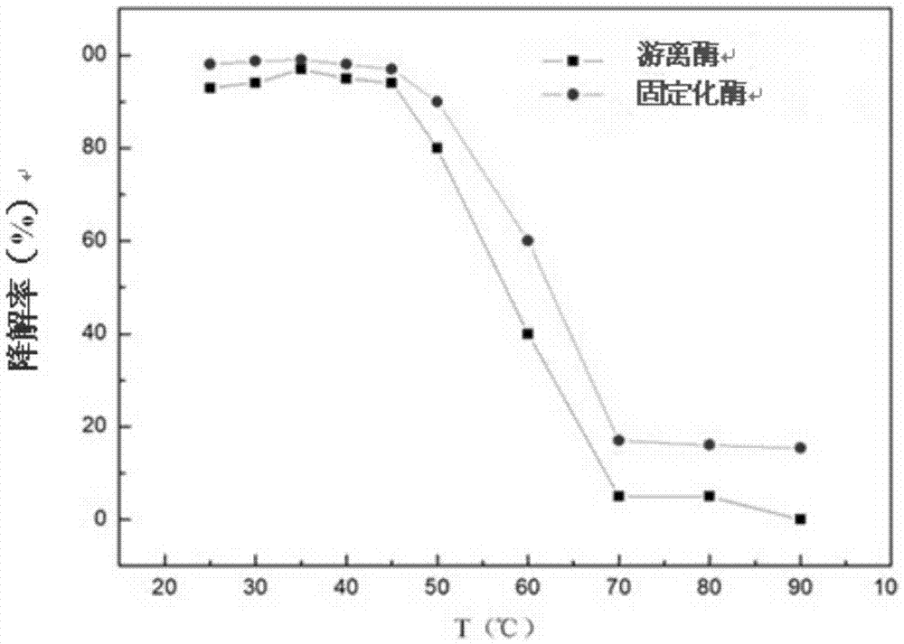 Magnetic-graphene-oxide-immobilized CPO (chloroperoxidase), and preparation method and application thereof