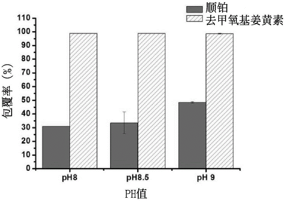 Drug composition and method for preparing the same