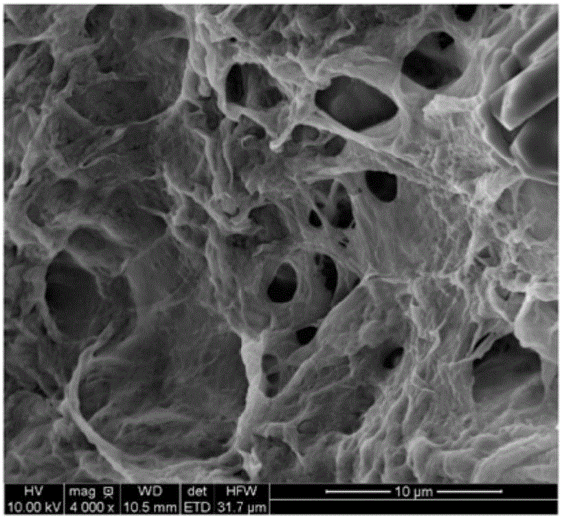 Super-hydrophobic and super-oleophylic cellulose sponge as well as preparation method and application thereof