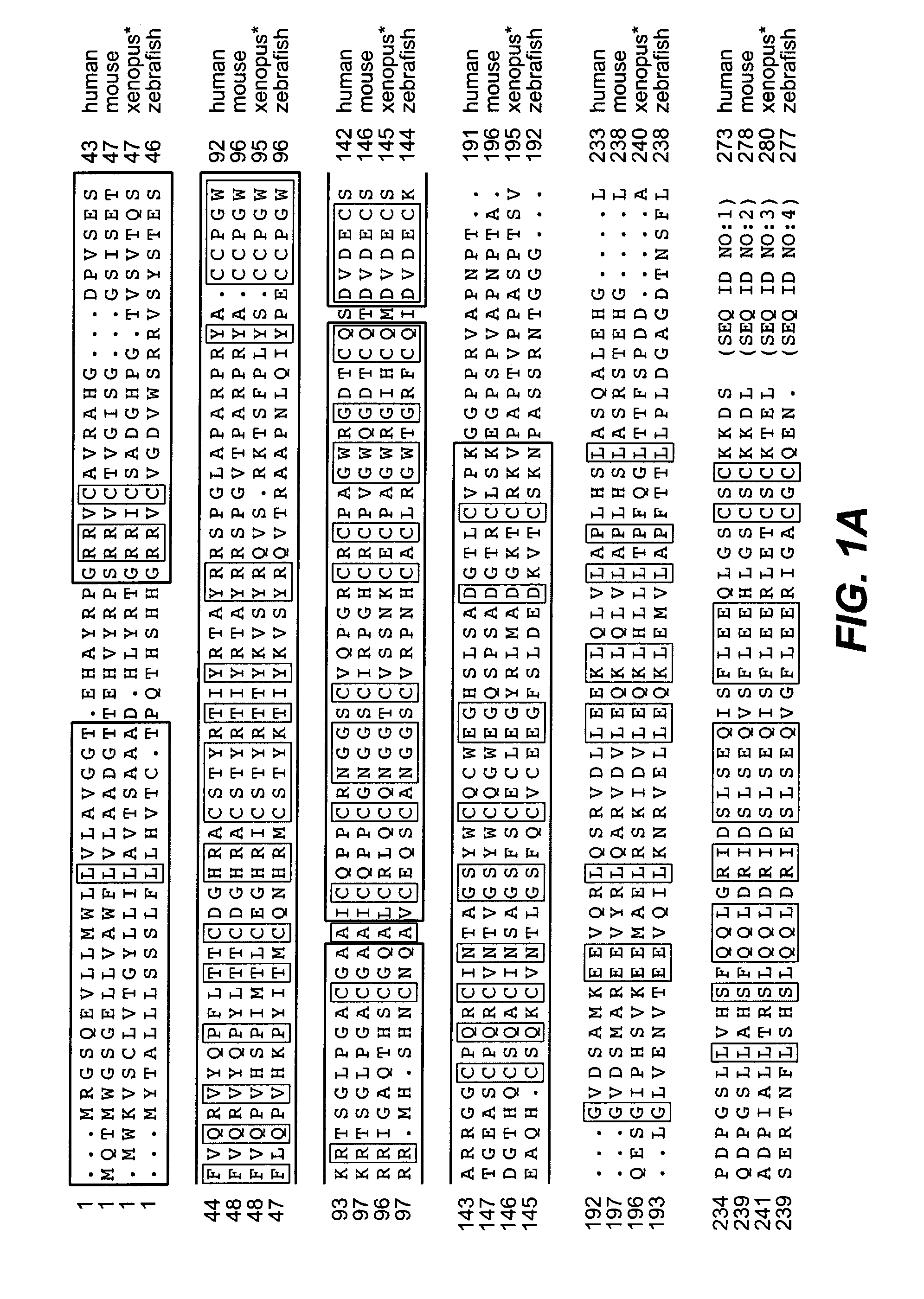 Compositions and methods for modulating vascular development