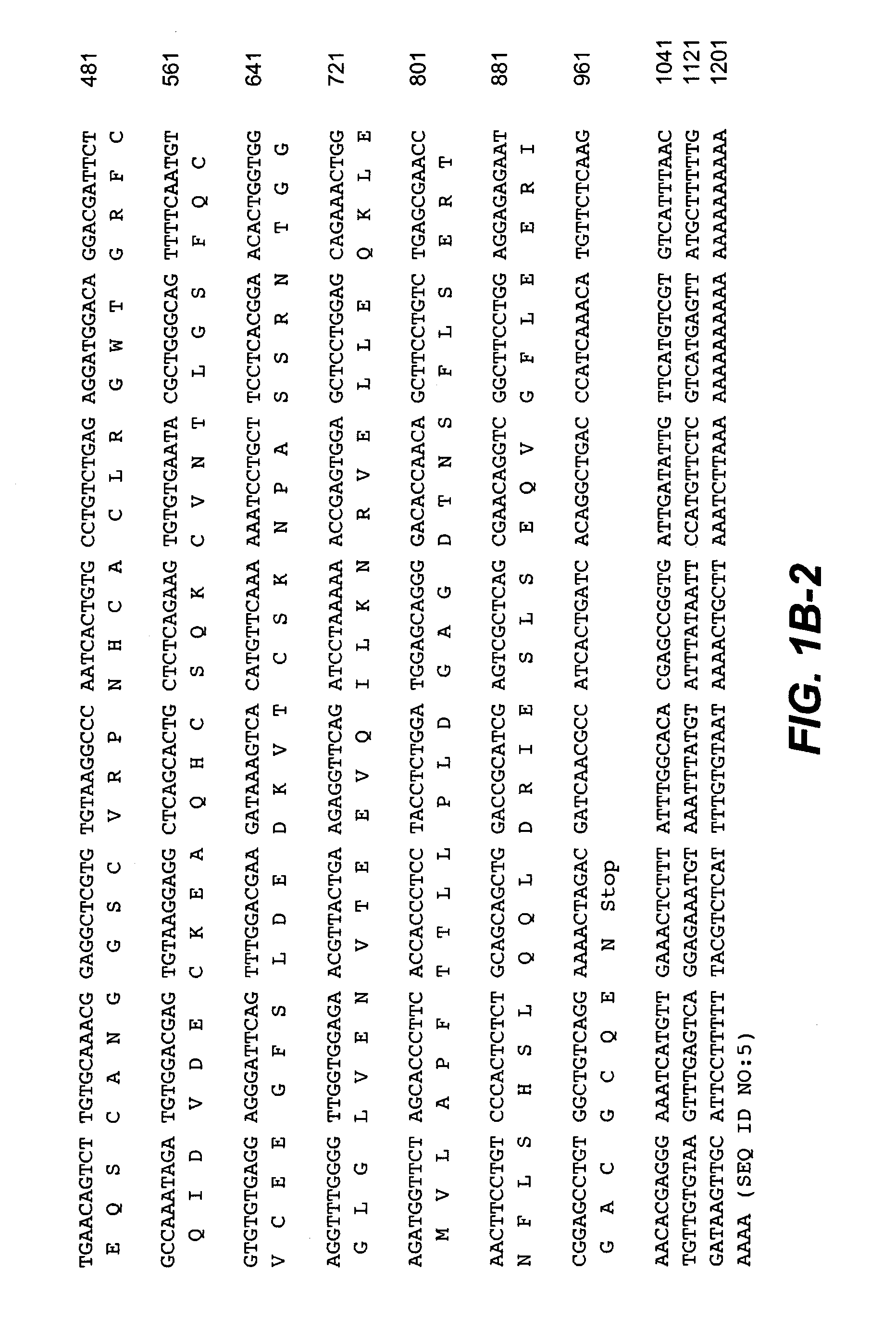 Compositions and methods for modulating vascular development