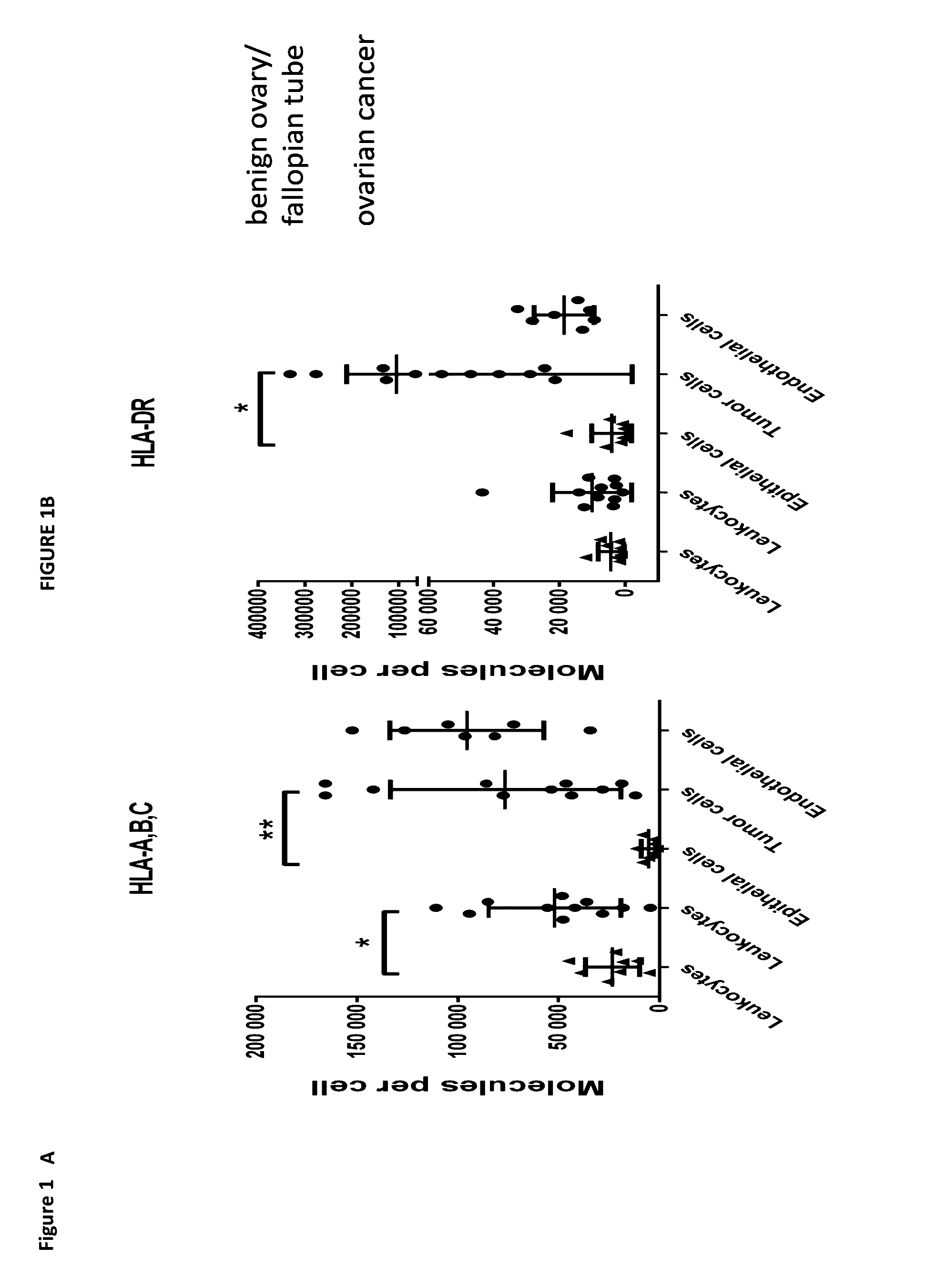 Novel peptides and combination of peptides for use in immunotherapy against epithelial ovarian cancer and other cancers