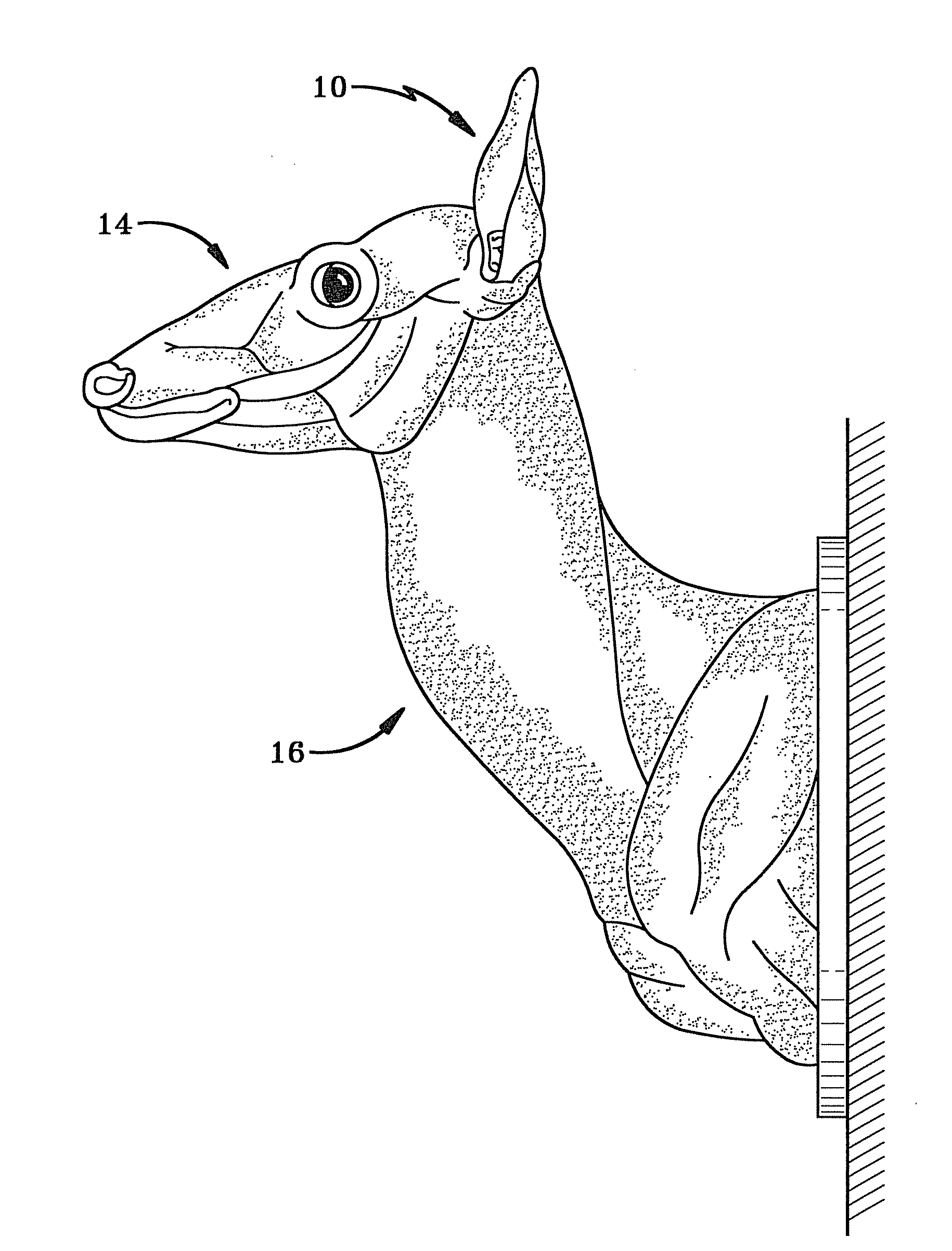 Modular taxidermy mannequin ear assembly