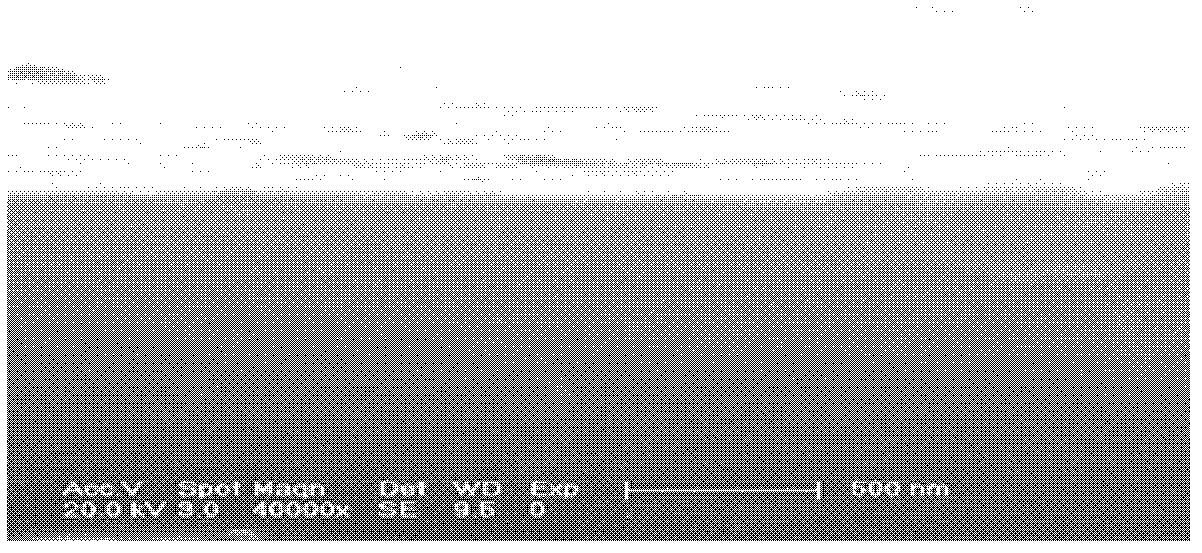 Proton exchanging composite film and preparation method thereof