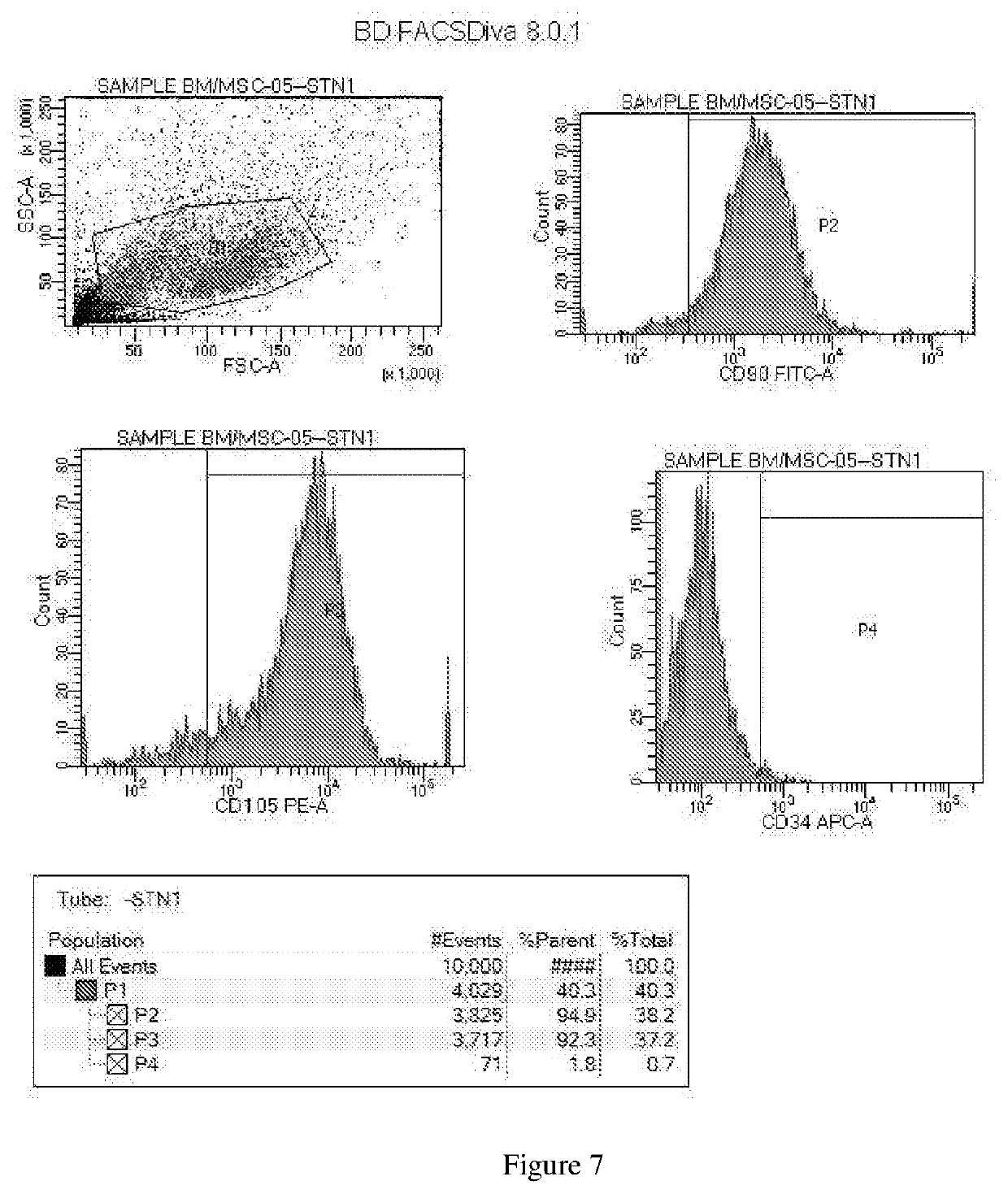 Osteoblast cell-mixture, and implementations thereof