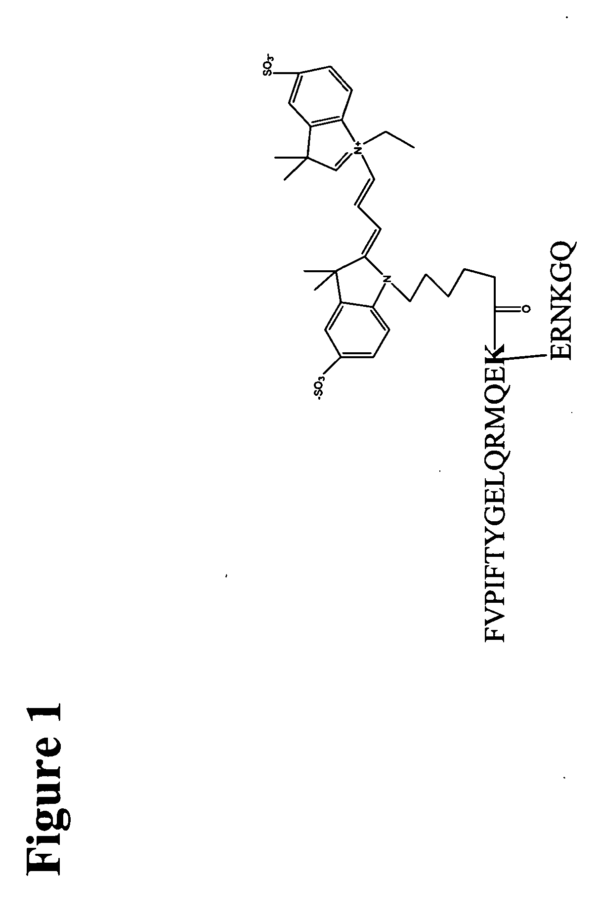 Fluorescent ligands for GPCR arrays