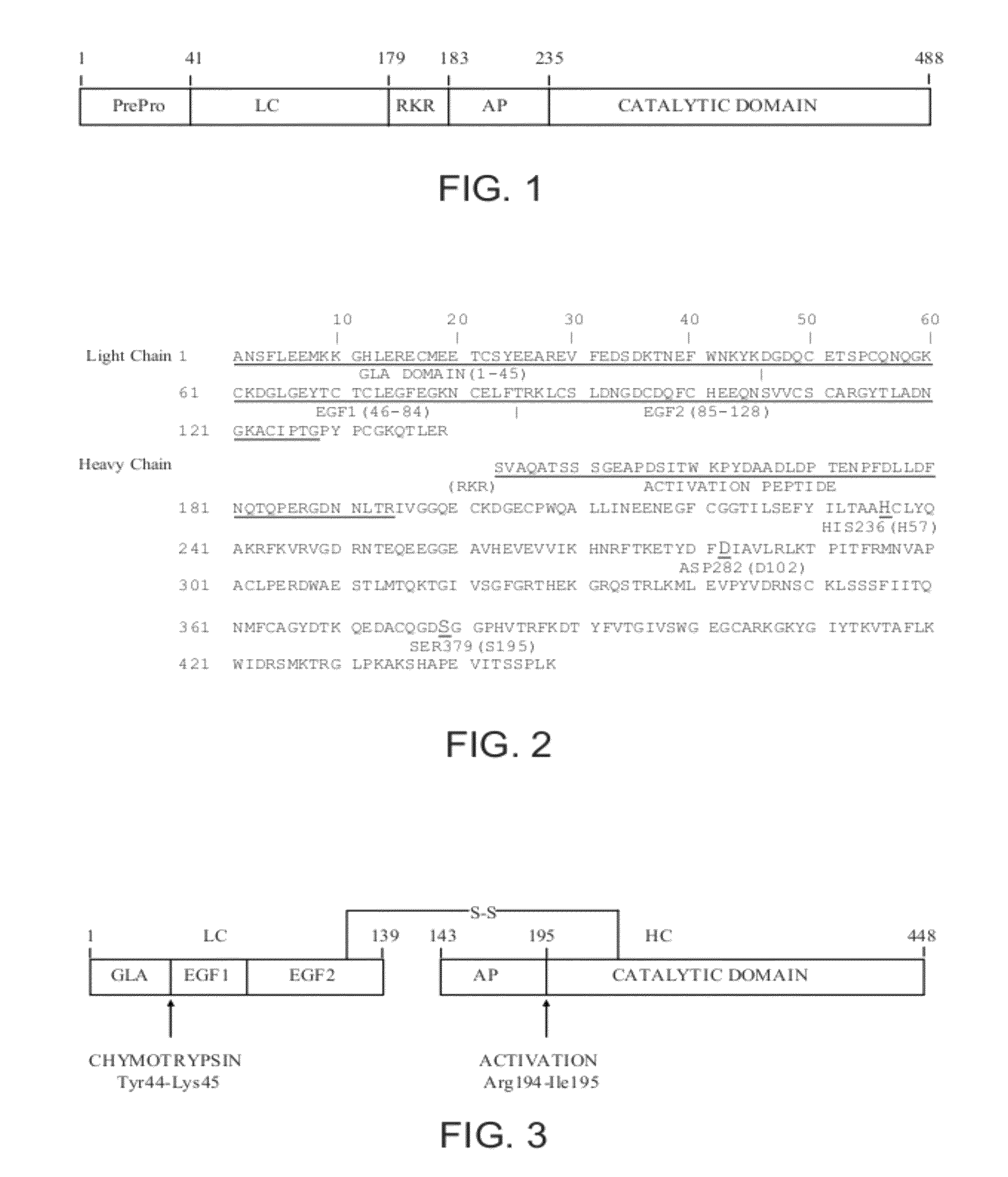 Antidotes for factor Xa inhibitors and methods of using the same