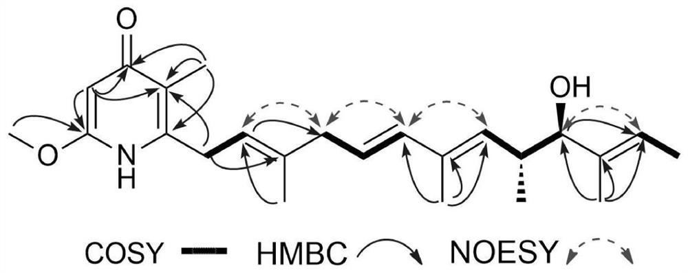 A kind of pyridone tetramycin and preparation method thereof and application in the preparation of anticancer drugs