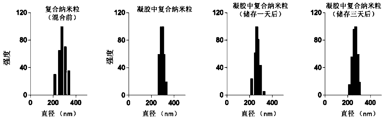 Vagina gel preparation and preparation method thereof