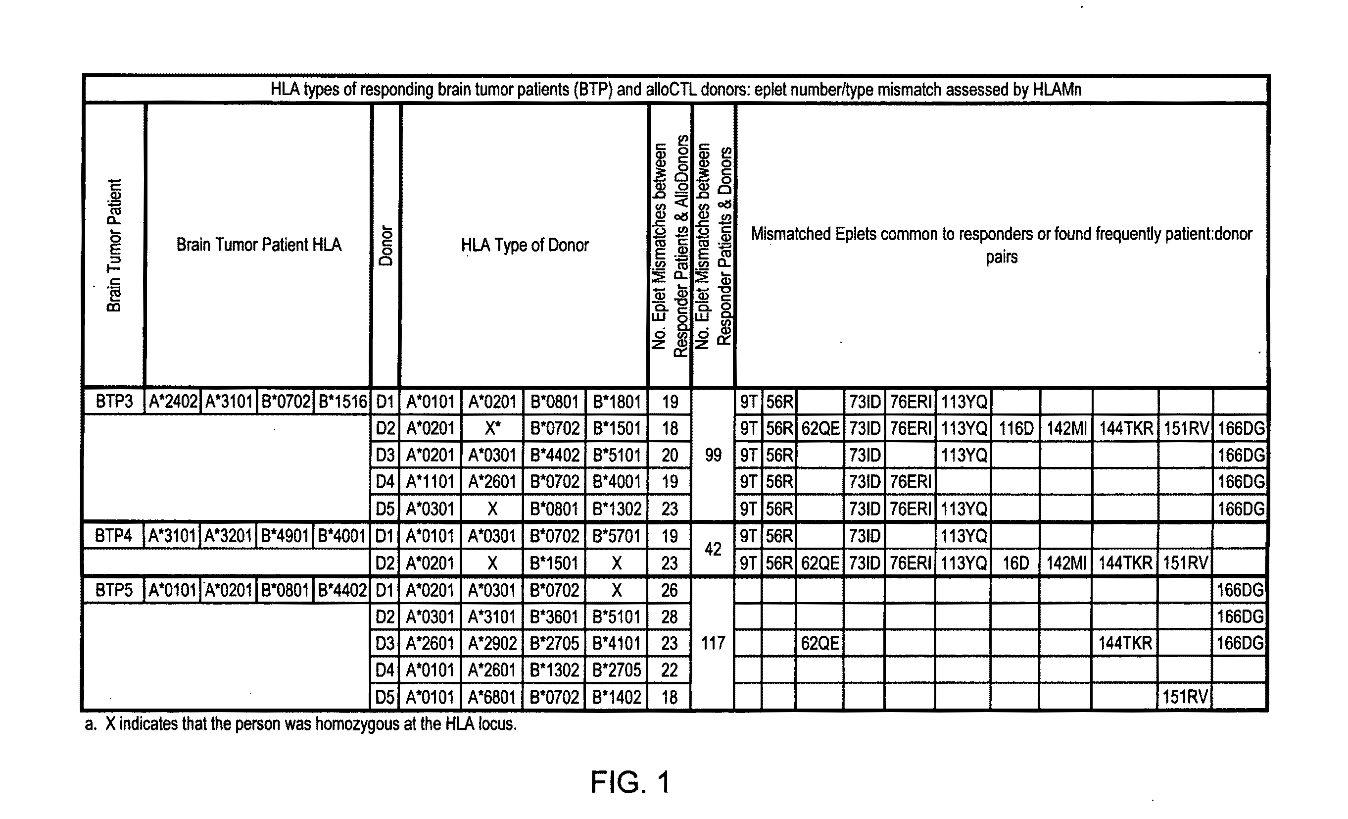 Pairing processes for preparing reactive cytotoxic T cells