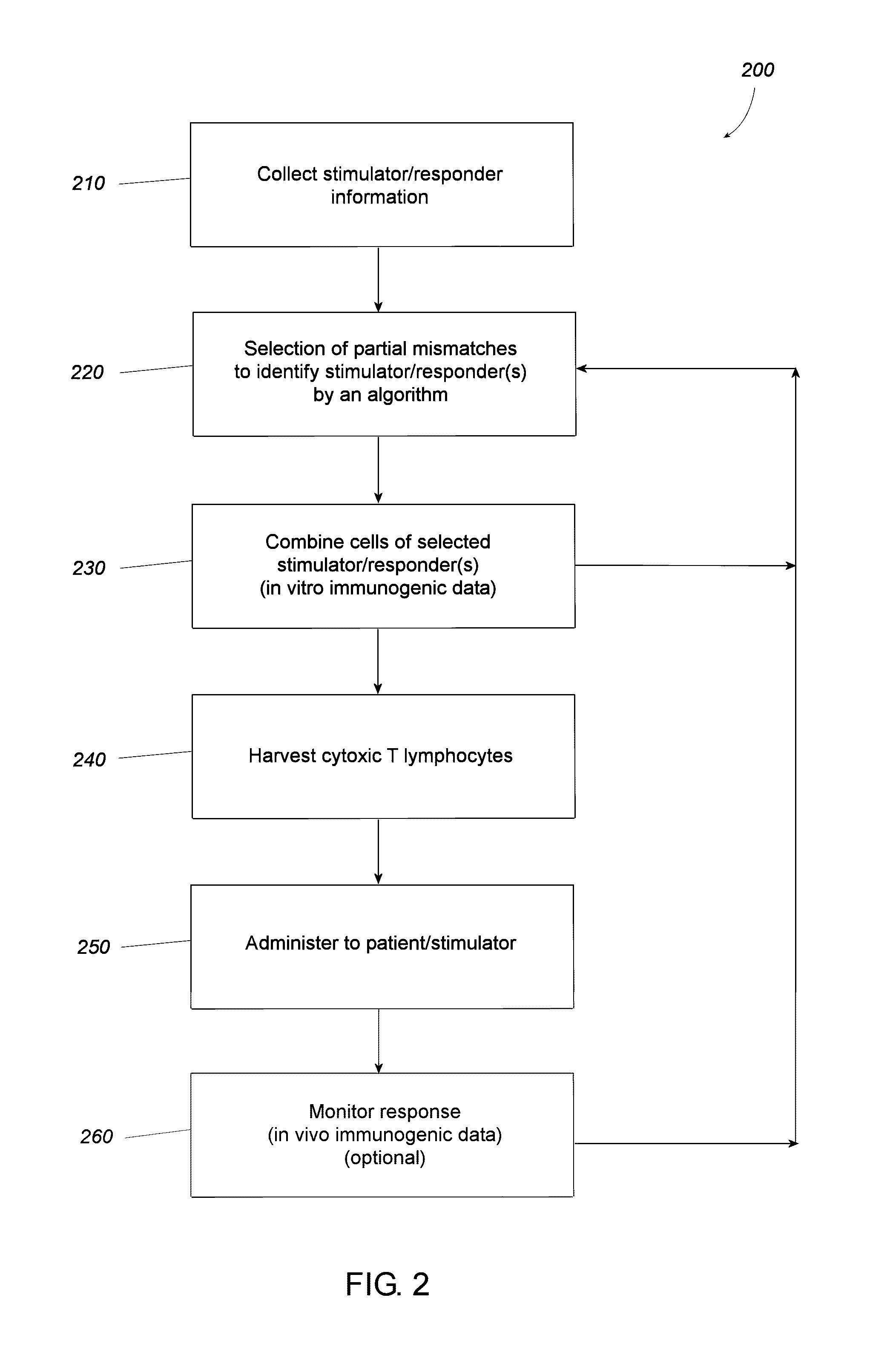 Pairing processes for preparing reactive cytotoxic T cells