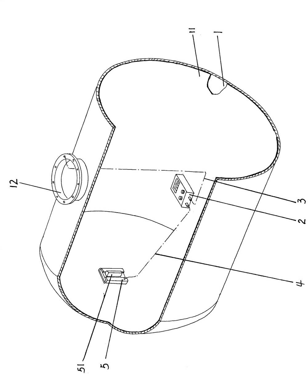 Leakage point detecting device for clean liner container