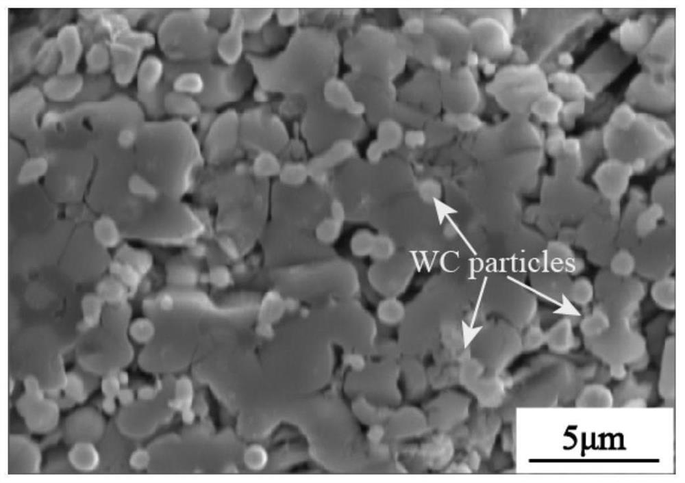 A Method for Promoting Intragranular Distribution of Fine Particles During Laser Shock Melting