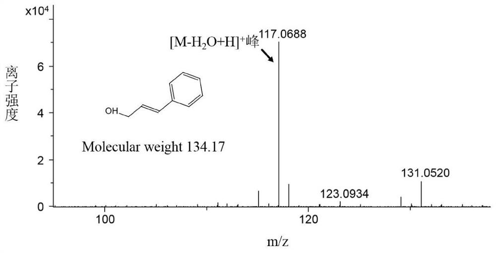 Recombinant Escherichia coli for producing cinnamyl alcohol and rothium, construction method and application