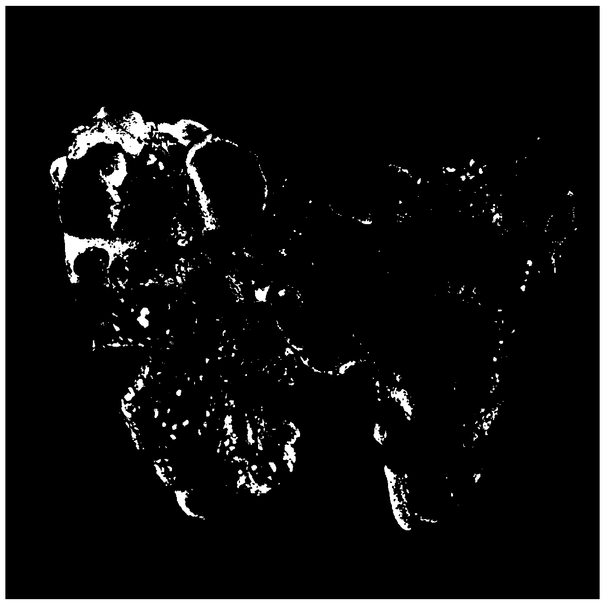 Imaging method of thyroid tissue structure